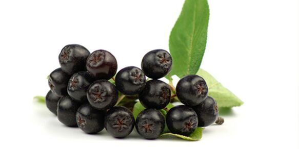 Fruits de sorbier noir utiles pour le diabète. 